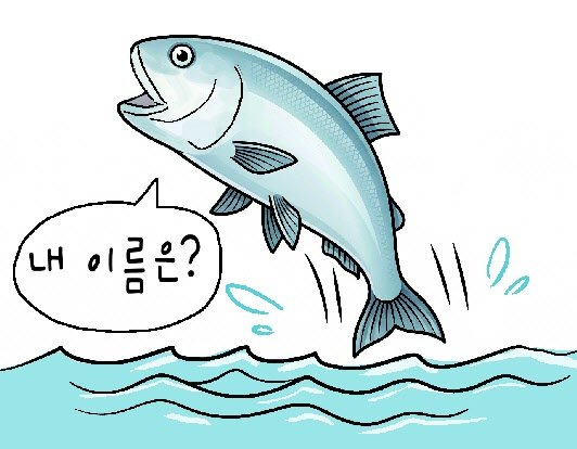 허구와 혼선 사이, 물고기 이름 유래담[김창일의 갯마을 탐구]〈143〉