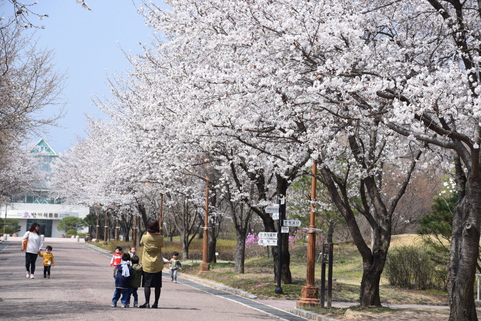 여기 안가면 후회할 수목원 베스트10