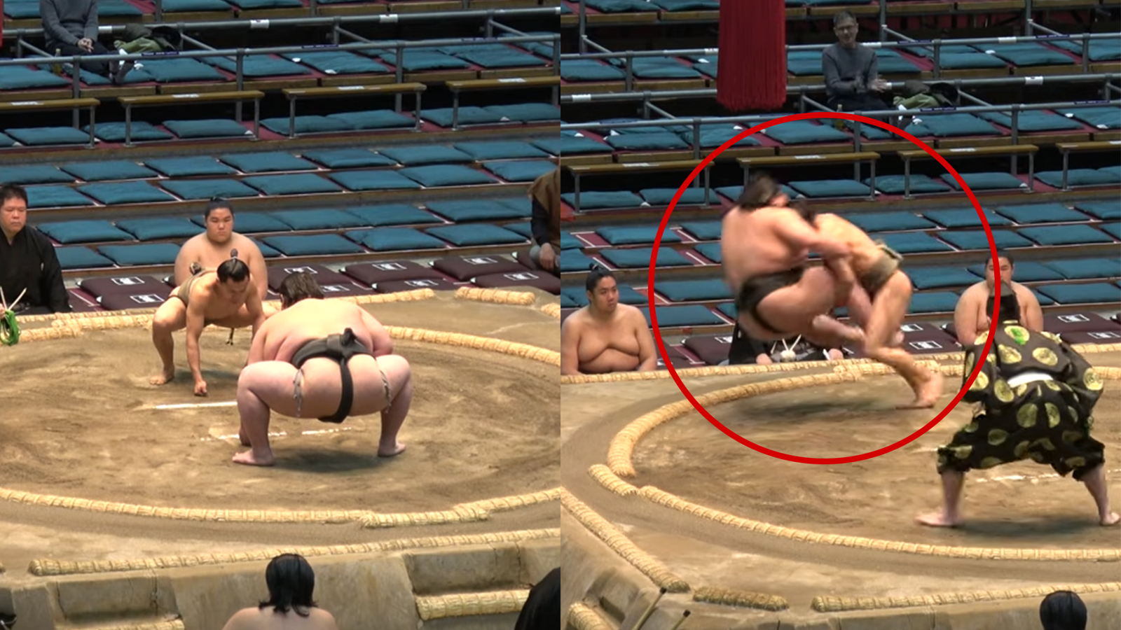 일본 현역 최경량 스모 선수 우루토라 다로(62.5kg)가 자신보다 100kg 이상 무거운 거구를 기술로 제압해 화제다. 유튜브 相撲チャンネル 갈무리