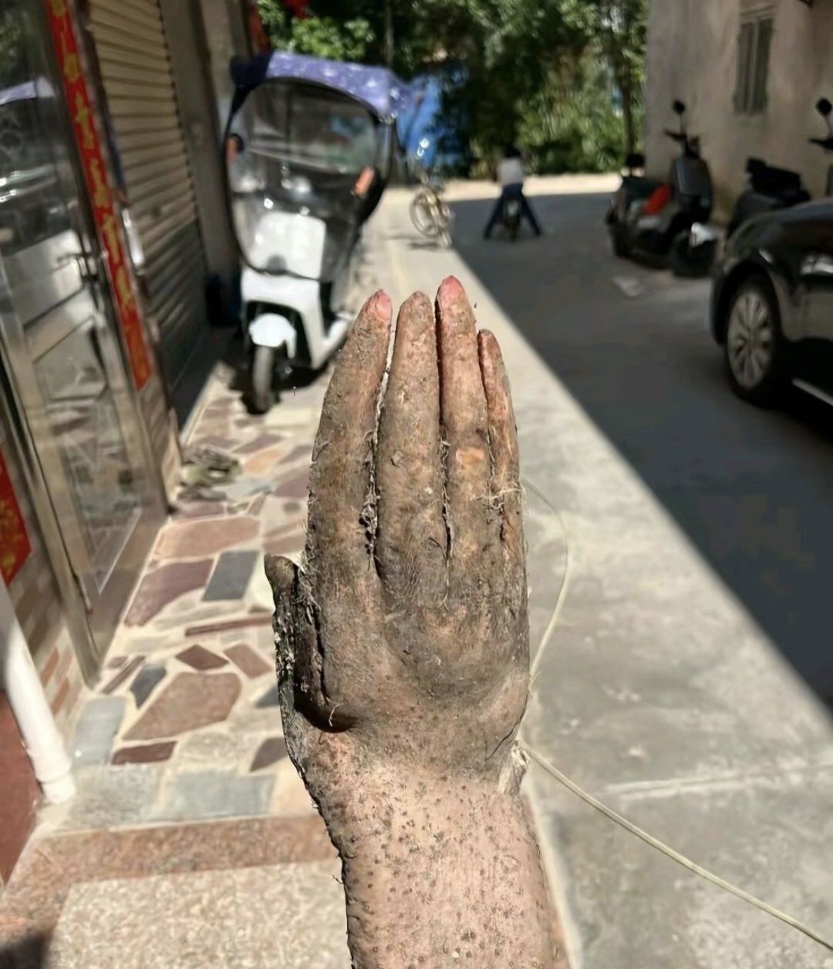 사람 손을 꼭 닮은 참마가 발견된 가운데, 다섯 손가락과 손톱처럼 보이는 부분까지 있어 눈길을 끌고 있다. 사진=샤오홍슈 갈무리
