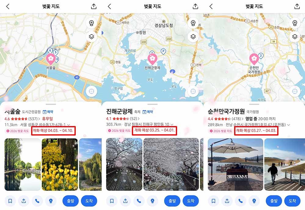 위치 정보와 개화 예상 시기를 표시한 장소 상세 페이지 / 출처=IT동아