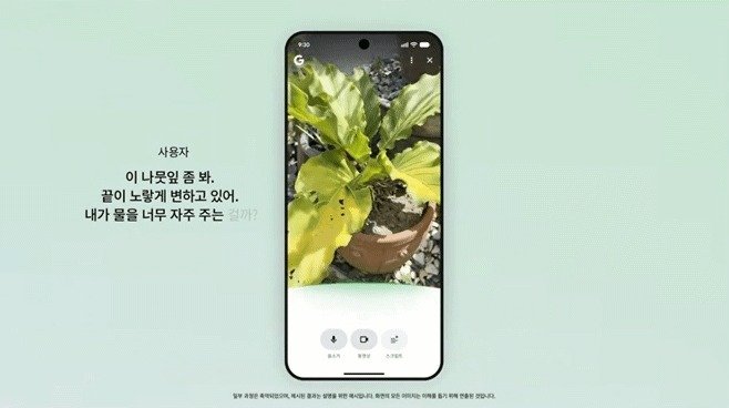 카메라로 비추고 AI에 질문…구글 ‘서치 라이브’ 전세계 도입
