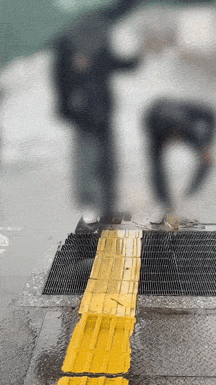 영상=인스타그램