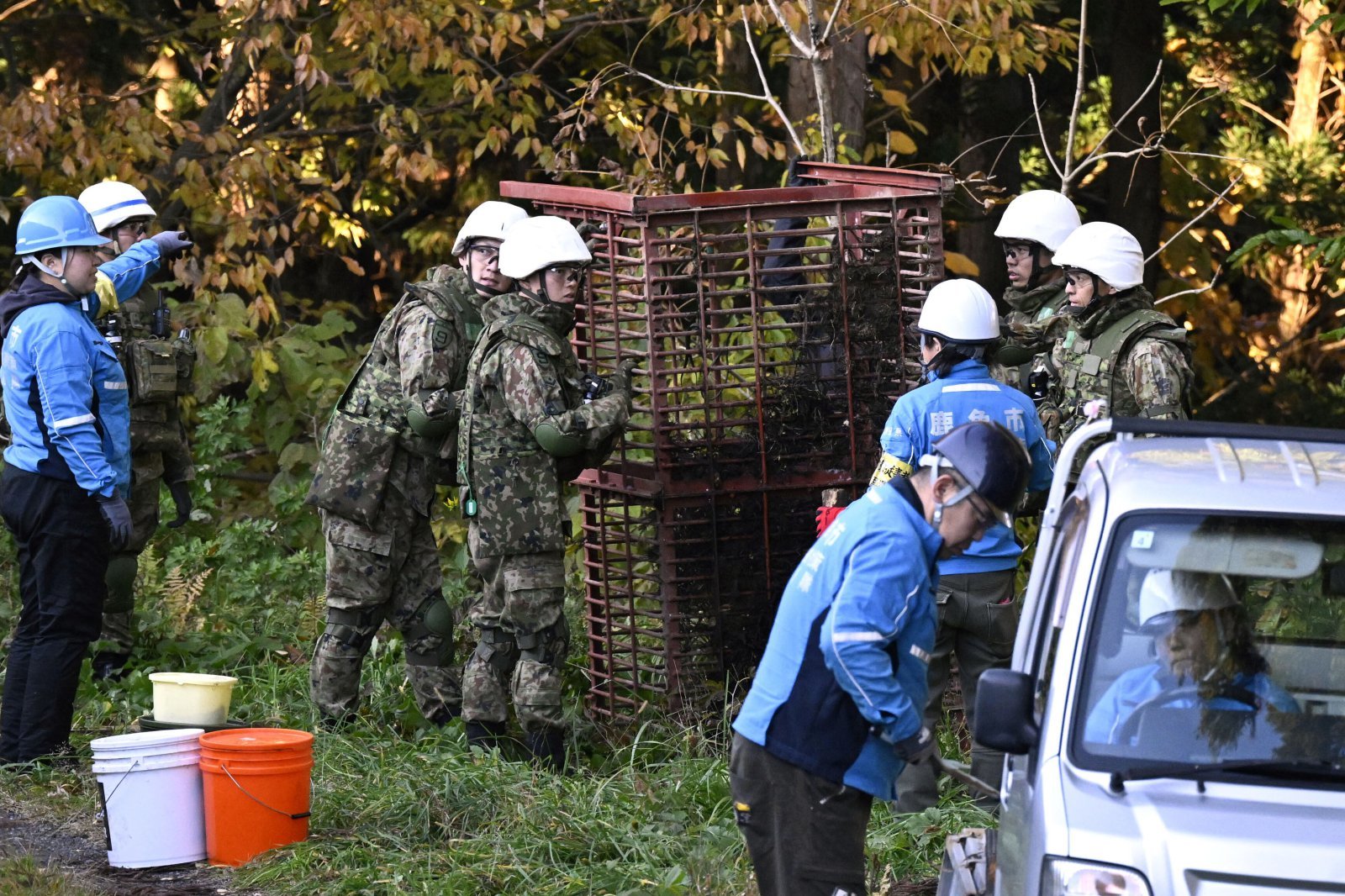 지난해 11월 5일 일본 북부 아키타현 가즈노에서 일본 육상자위대 대원들이 곰을 포획하기 위해 틀을 설치하고 있다. 일본 정부가 곰의 습격으로 피해가 잇따르는 아키타현에 5일부터 자위대를 투입했다. 가즈노=AP 뉴시스