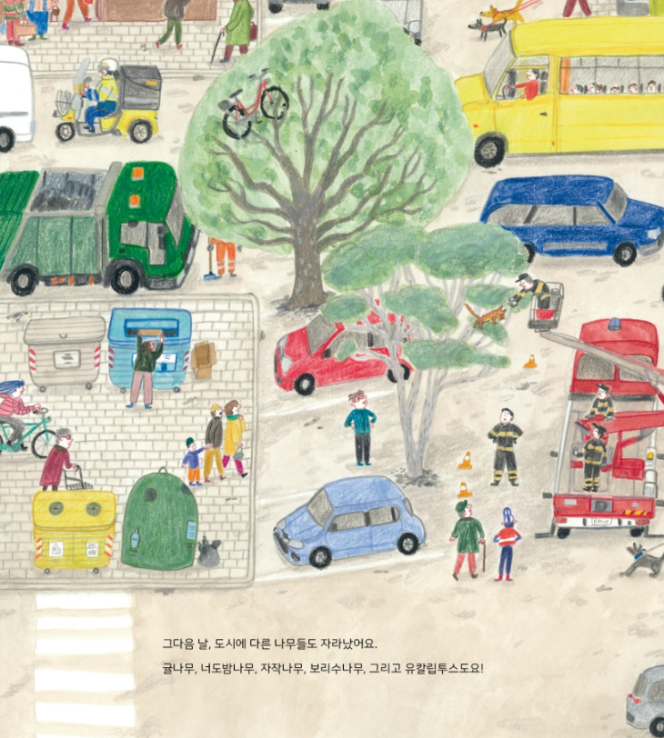 초록 코트의 마법, 씨앗의 시작