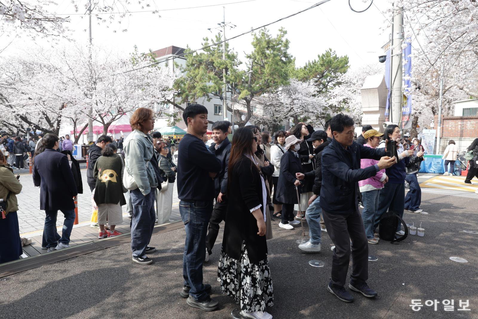 전국 최대 벚꽃 축제인 ‘제64회 진해군항제’가 개막한 가운데 경남 창원 진해구 여좌천을 찾은 관광객들이 29일 오전  좋은 각도에서 사진을 찍기 위해 줄을 서서 기다리고 있다.  

				변영욱 기자 cut@donga.com