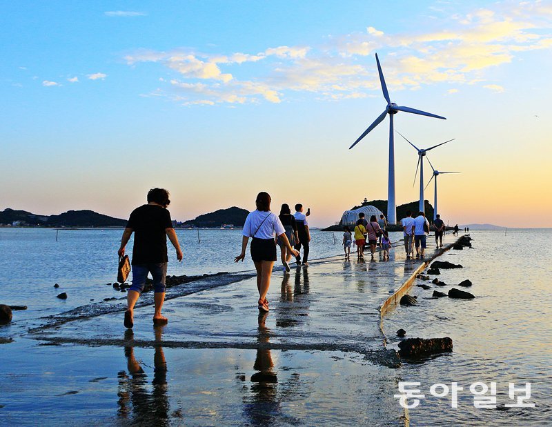 경기 안산시 단원구 탄도항에서는 썰물 때 누에섬까지 이어지는 갯벌길이 드러나 관광객들이 바닷길을 걸을 수 있다. 황금천 기자 kchwang@donga.com