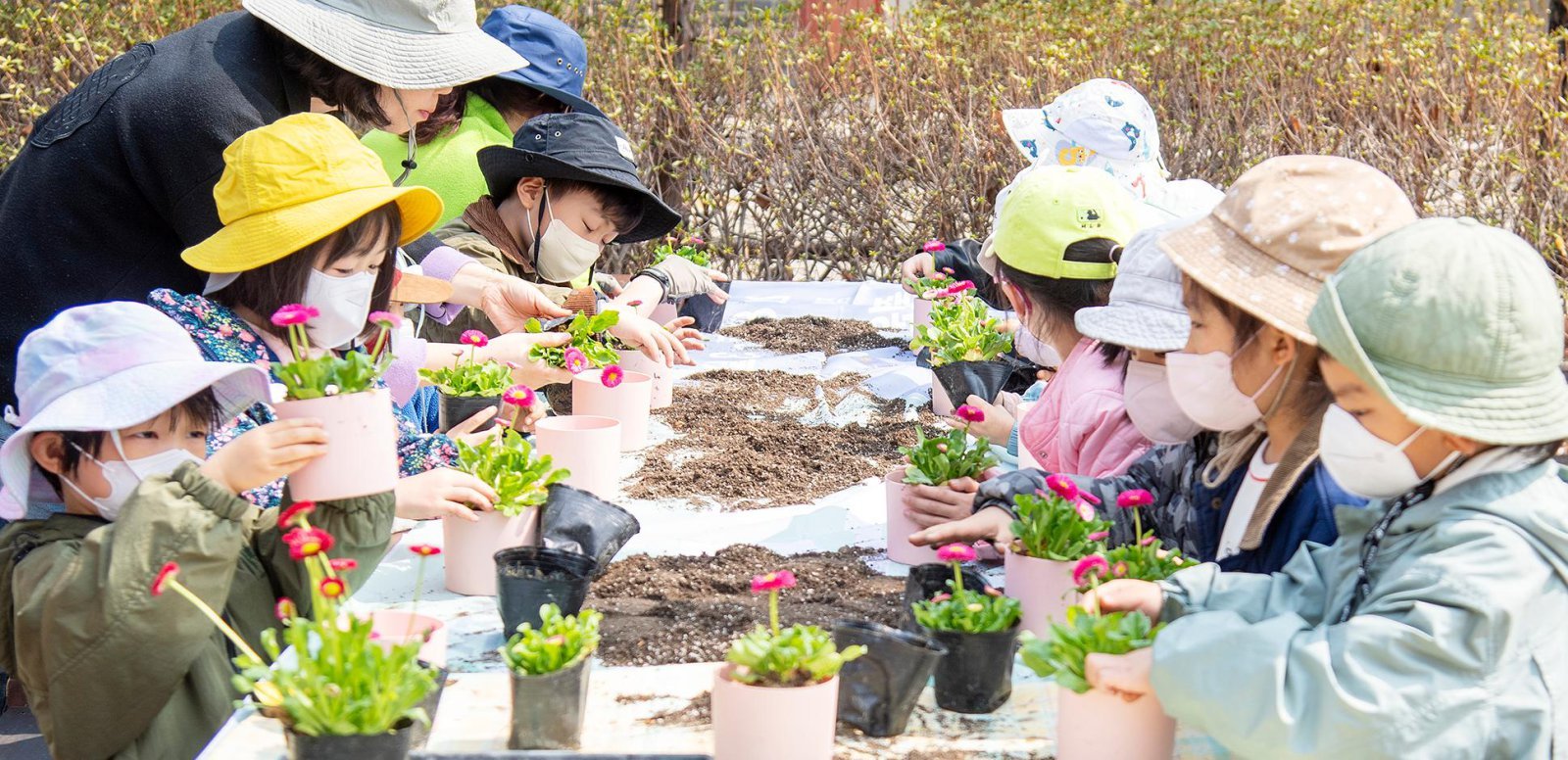 스마트폰 대신 흙 만지기… 도심 속 유아 숲체험 확산