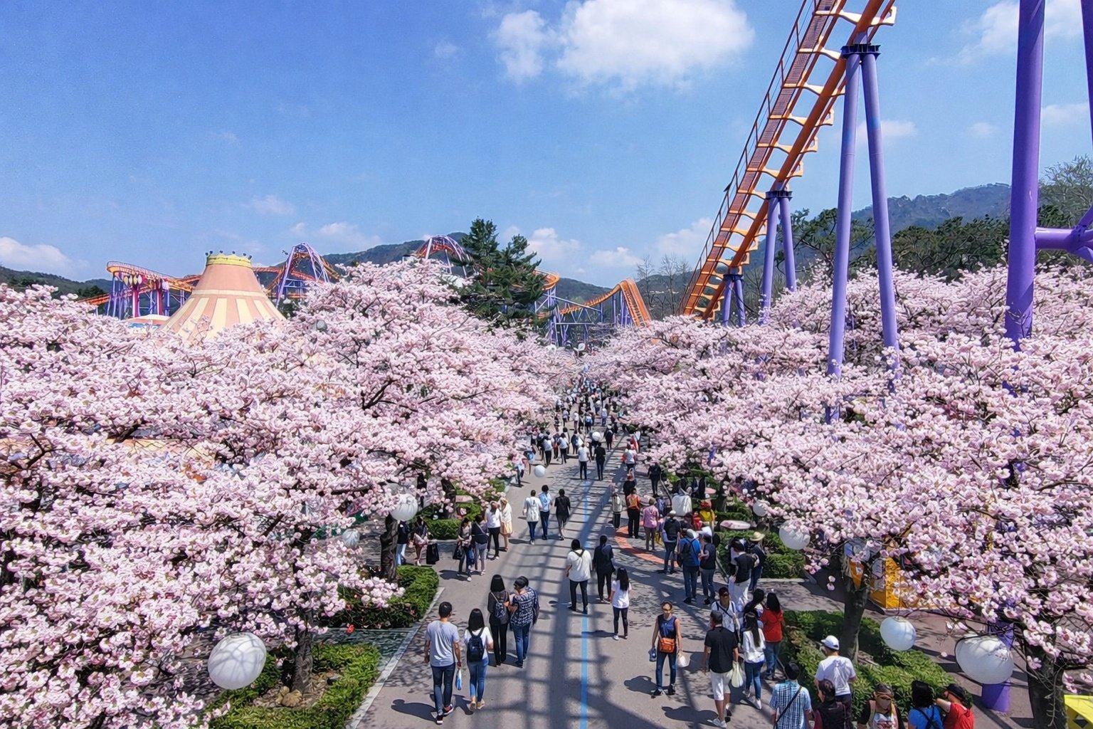 “대놓고 속아줍니다”…롯데월드 표로 서울랜드 ‘만우절 공짜’