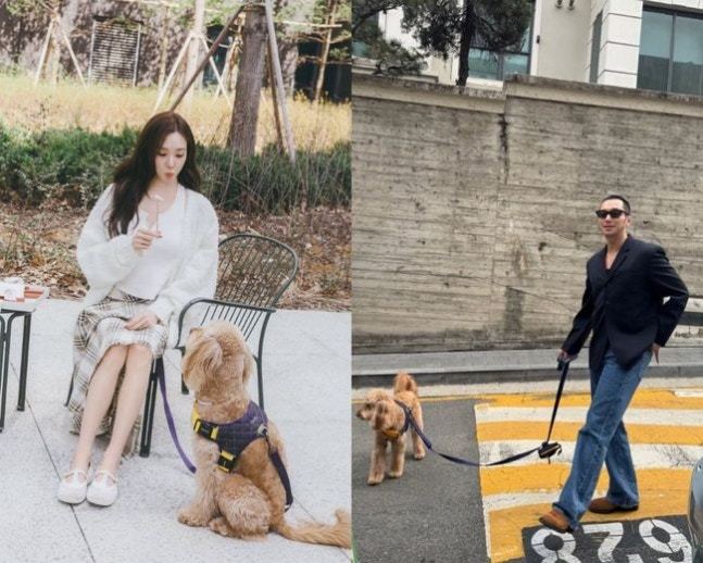 ‘2월 혼인신고’ 변요한·티파니 영, 부부 동반 반려견 산책?