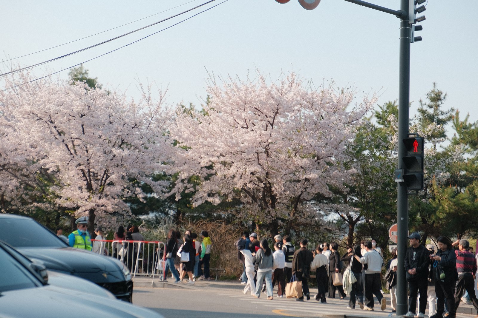 김영호 기자 rladudgh2349@donga.com