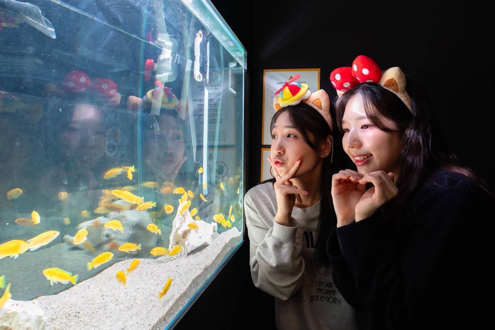 “롯데월드 ‘포토스트리트’서 인생샷”