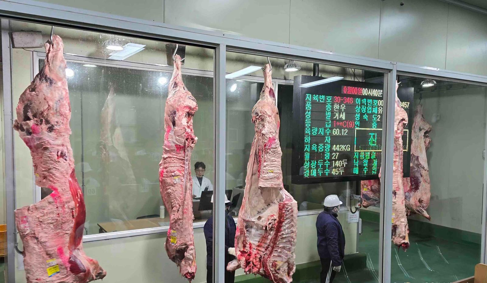 홍성한우, 홍콩 수출 본격화…글로벌 시장 공략 나서