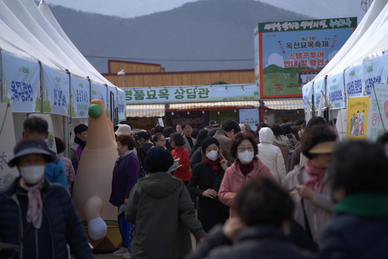 식목의 계절에 묘목 중심지 옥천으로 오세요