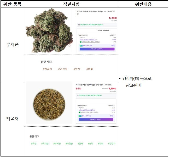 ‘건강차’라고 해서 마셨는데…‘이 식물’ 알고보니 식용 금지