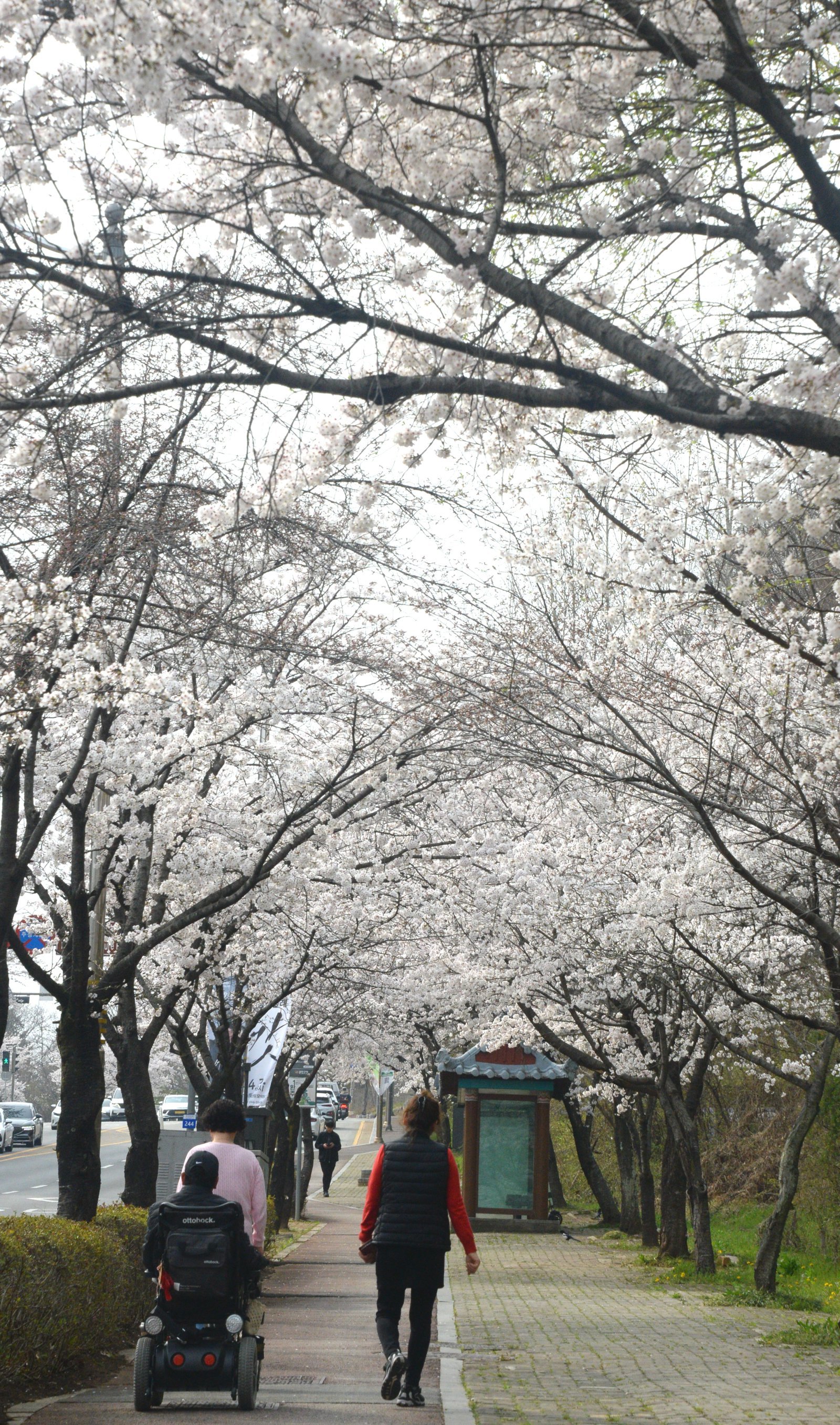 ‘낮 최고 20도’ 큰 일교차…밤부터 전국 곳곳 비