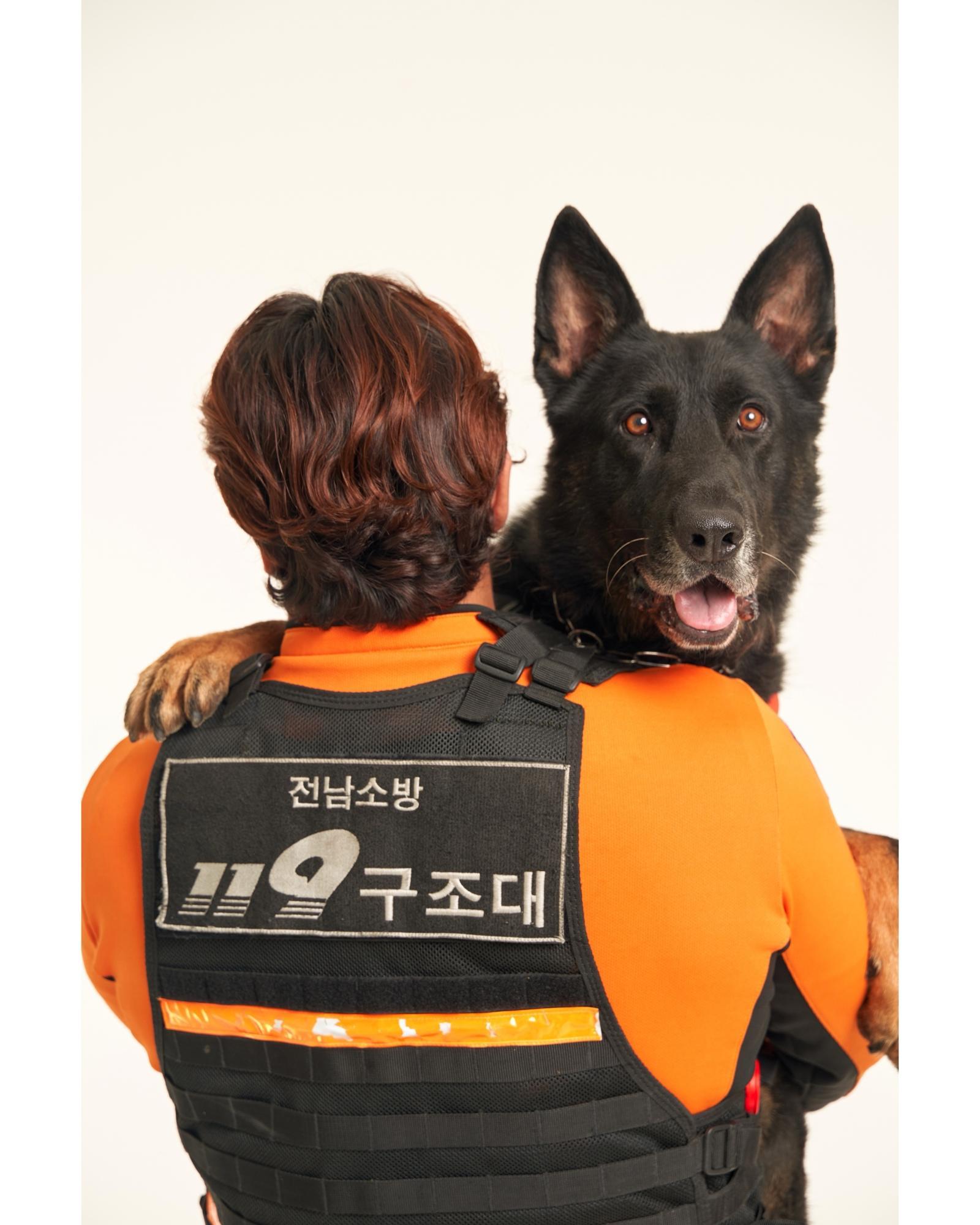 각종 재난·수색 현장에서 활약하다 은퇴한 119구조견 ‘포비’. 전남소방본부 제공