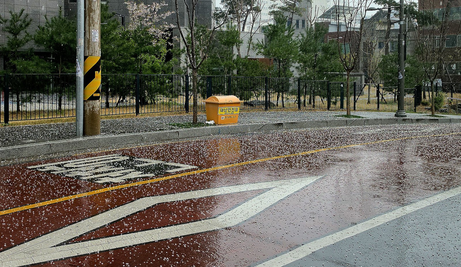대구 경북 우박 현상 이미지