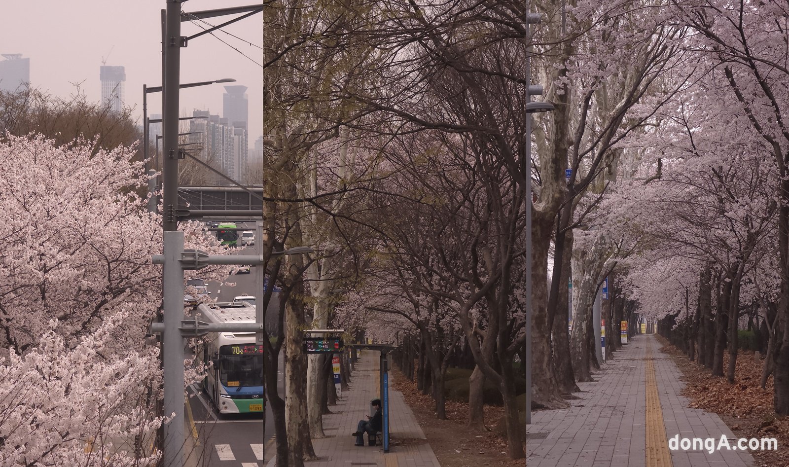갤럭시 S26 울트라로 찍은 풍경 사진. 카메라 기본 기능 자체로 화이트밸런스(WB), 필름감도(ISO) 등을 조절할 수 있으며, 틴트 효과를 통해 자체 보정도 가능하다. 윤우열 기자 cloudancer@donga.com