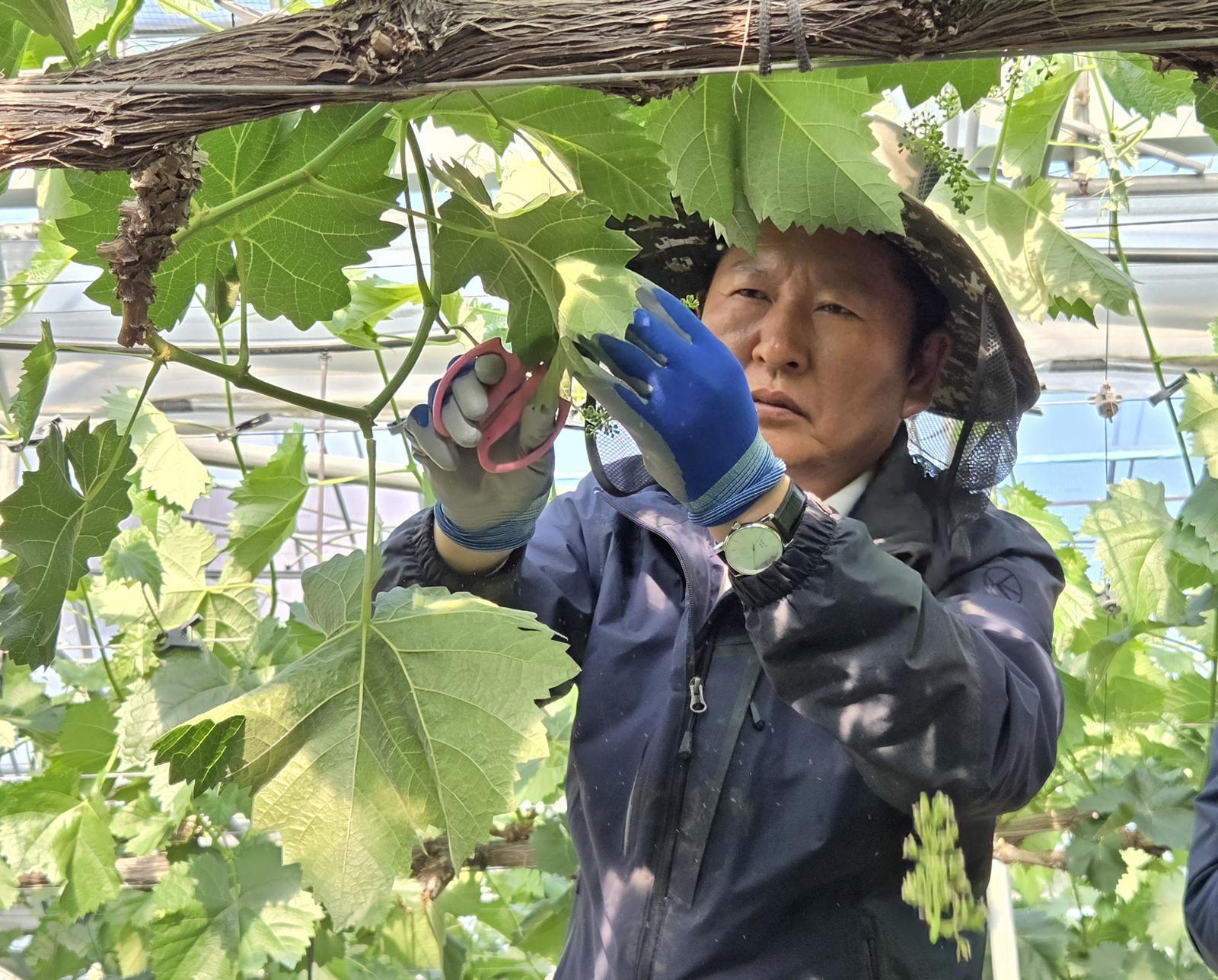 정청래 “하정우 부산출마 삼고초려…곧 공개 요청할 것”