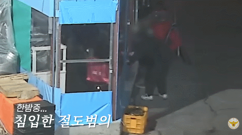 A 씨는 지난달 16일 0시경 울산 중구의 한 전통시장의 해산물 도소매점 수족관에서 문어 등 해산물을 훔쳐 달아난 혐의를 받고 있다. 영상은 A 씨의 범행 당시 장면. 경찰청