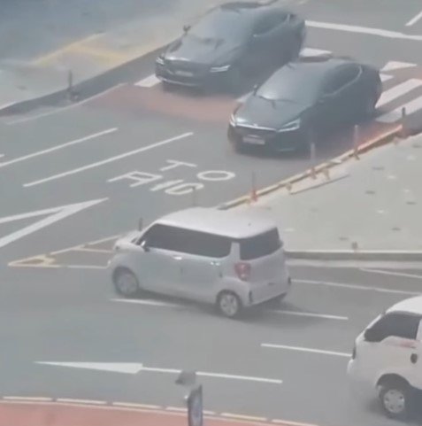 출처=보배드림