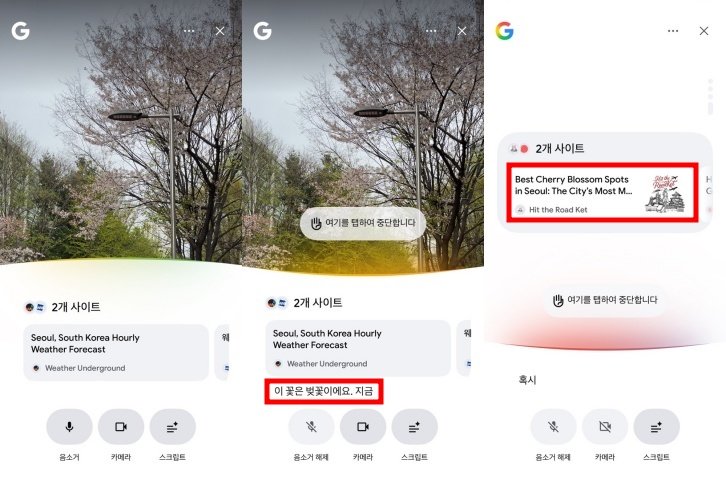 서치 라이브는 조명이 어둡거나 피사체가 작을 때 오인식률이 올라갔다 / 출처=IT동아