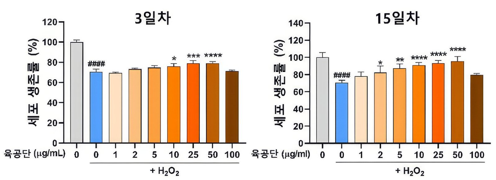 “육공단, 기억력 책임지는 ‘해마’ 손상 억제”…기전 규명