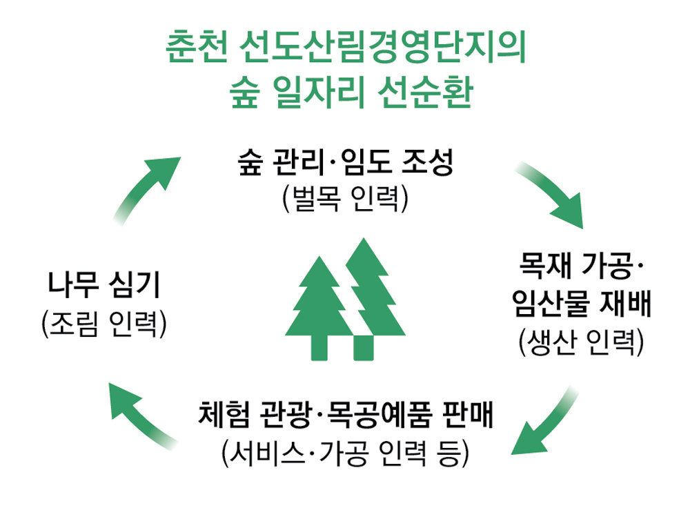 목재 가공-재배-관광… 산림경영 사업 13년 “숲이 평생 직장으로”