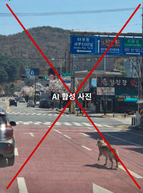 온라인 상에서 ‘늑구’ 발견 사진이라며 공유되는 사진. 확인 결과, 현장의 모습과 비슷하게 만들어진 교묘한 합성 사진인 것으로 드러났다. 엑스 갈무리