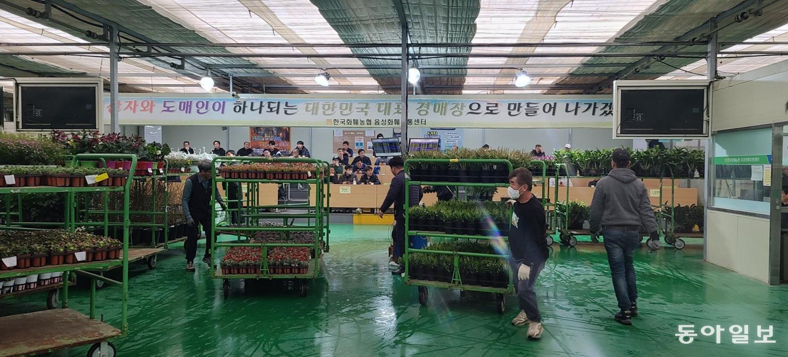 음성화훼유통센터는 개장 초기 전국 최초로 관엽과 난을 동시에 전자경매 방식으로 운영하며 기존 시장과 차별화된 경매 시스템을 구축해 왔다.  음성군 제공