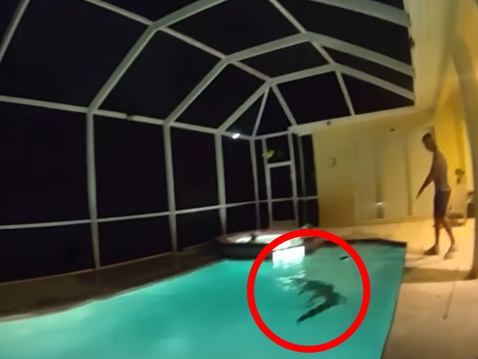 “수영장에 웬 괴한이”…신고 받고 가보니 2.7m 거대 악어 ‘풀파티’