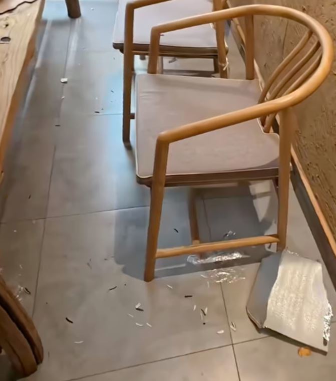 “거북이 절반이 사라져…제발 훔쳐가지 마세요” 안내문 내건 中 카페