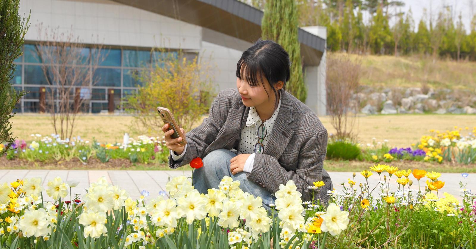 수선화-튤립 보고 원예 체험… 세종수목원 9일간 ‘오픈 가든’