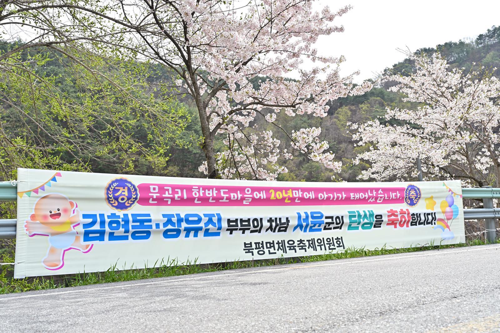 강원 정선군 북평면 문곡리에서 20년 만에 아기가 탄생하자 이를 축하하는 현수막이 내걸렸다. 정선군 제공