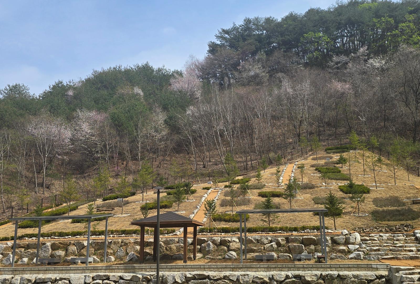 유골 뿌리는 홍천 ‘산분장지’ 운영 시작