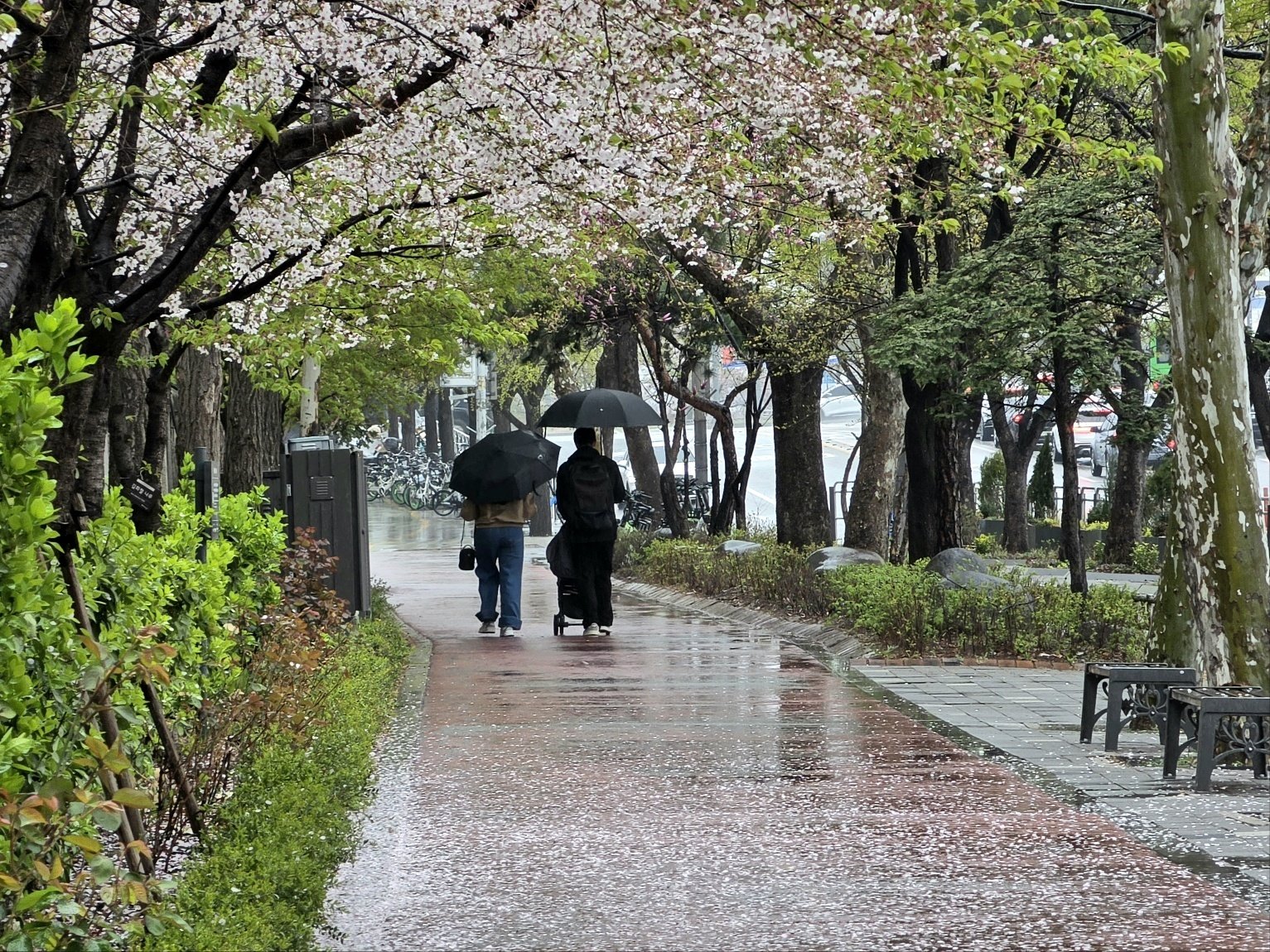 내일 제주 최대 150㎜·남부 60㎜ 비…무더위 잠시 꺾여 낮 21도 ‘선선’