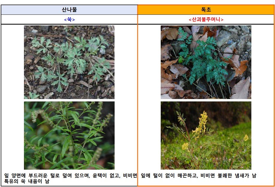 (식약처 제공)