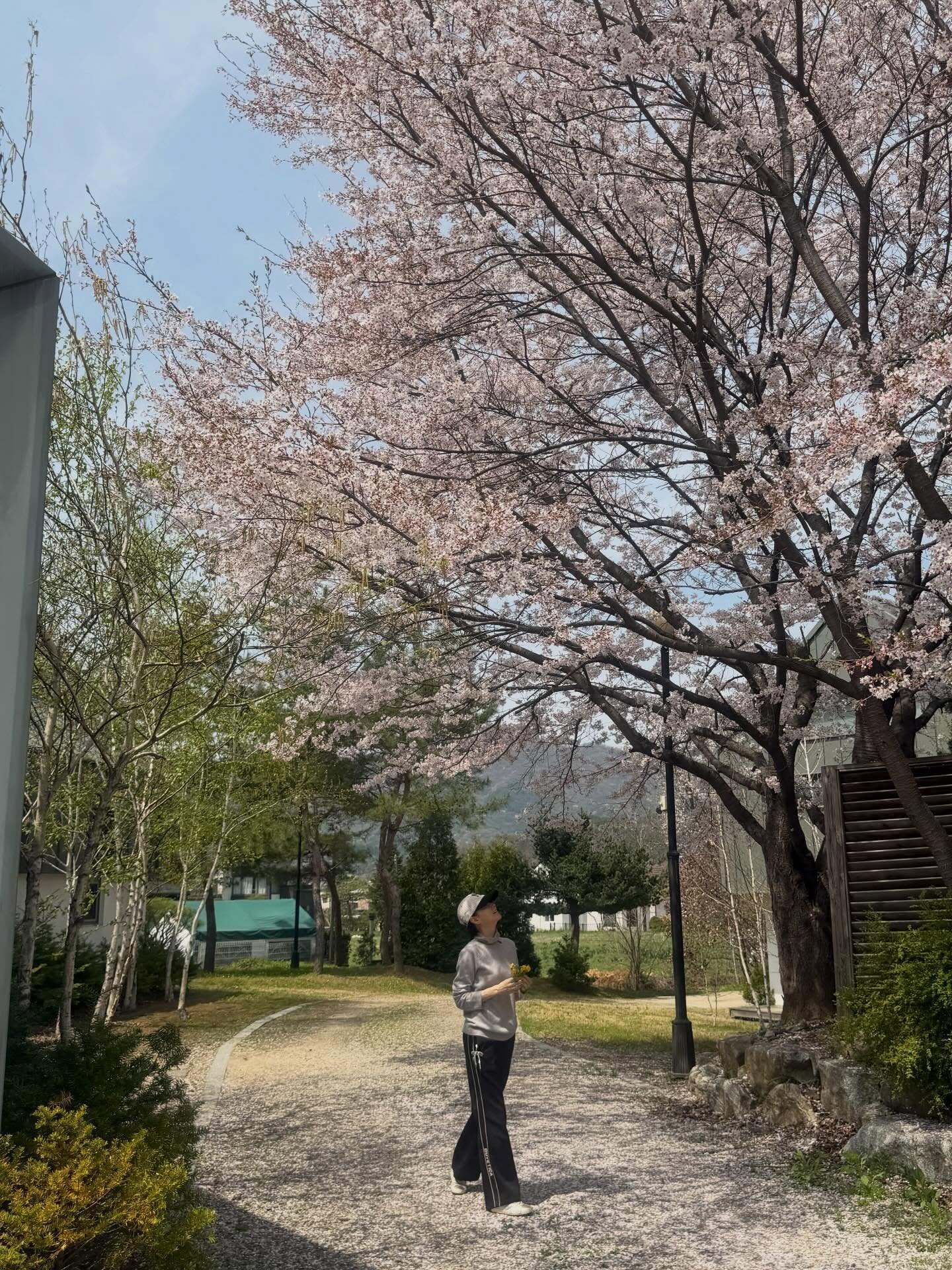 이영애 SNS