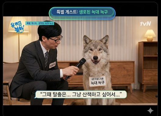 ‘탈출왕’ 늑구, 유퀴즈 출연? ‘늑구 밈’ 봇물