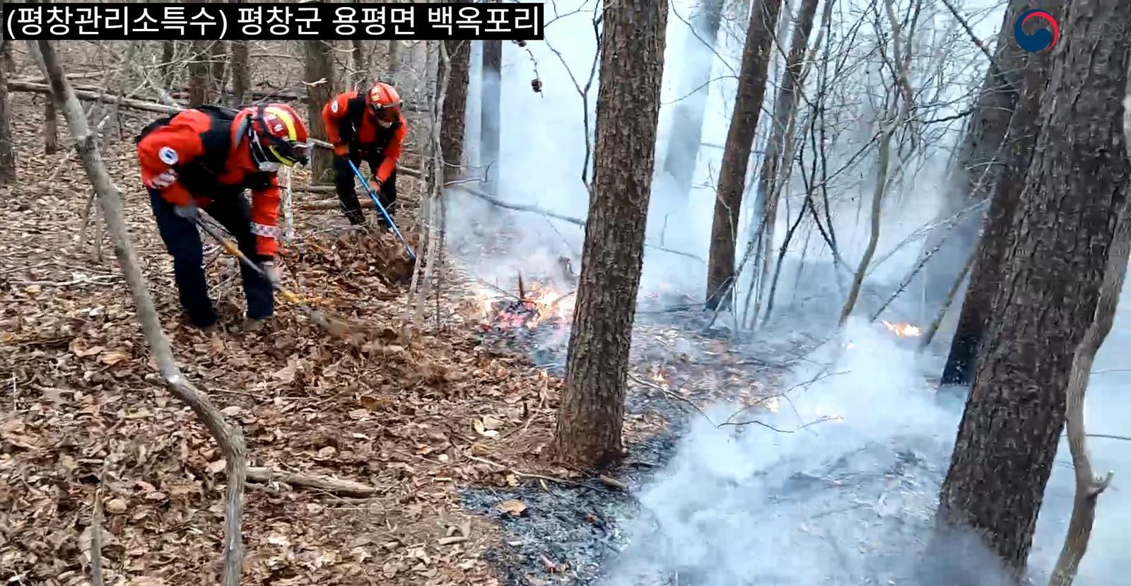 평창 대관령서 산불…헬기 6대 투입해 1시간 20분만에 진화