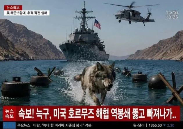 대전 오월드 늑대 늑구 탈출 밈 이미지