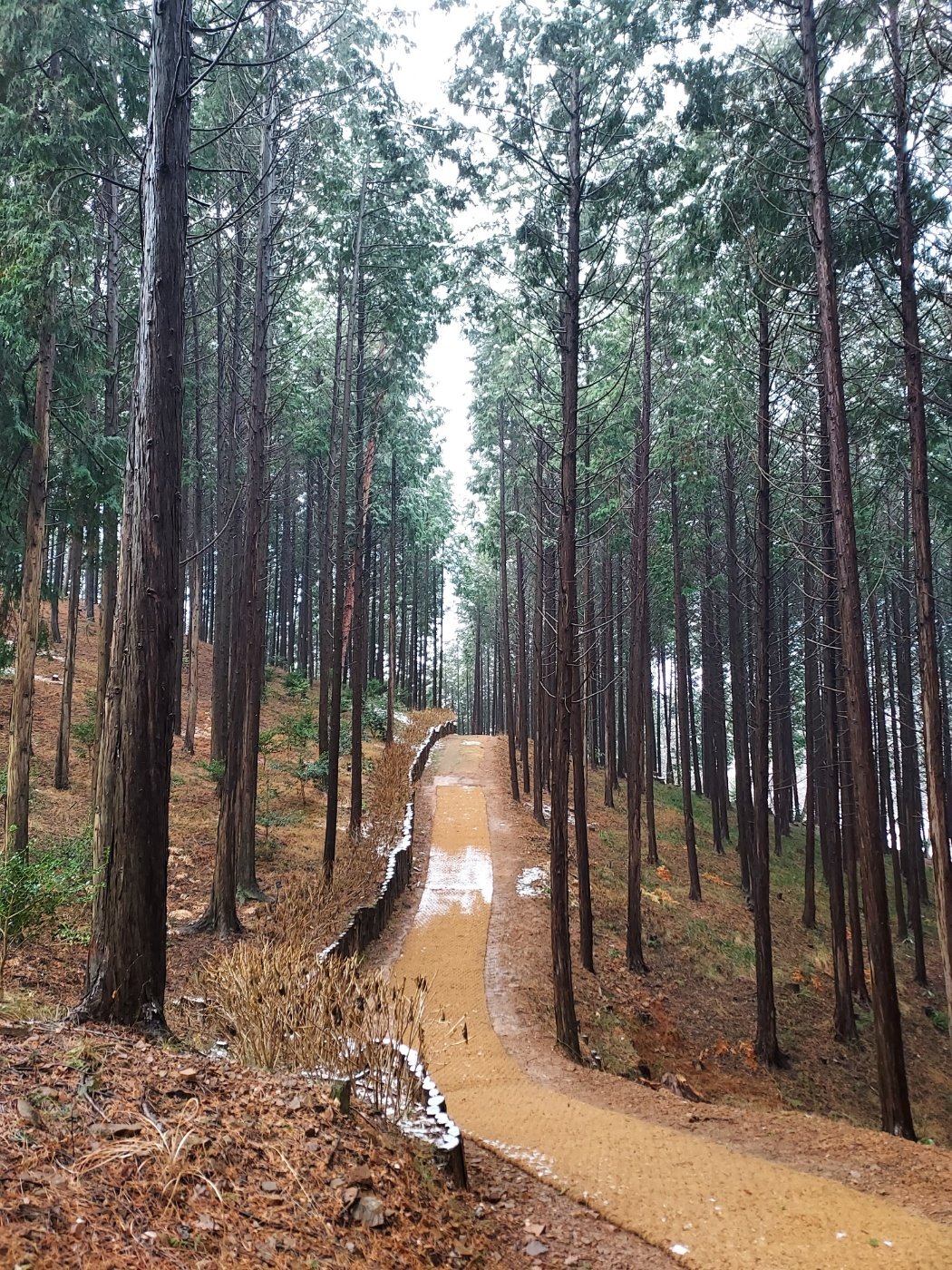 태안 안면도 지방정원 10년 간의 공사 마쳐… 25일부터 시범 운영