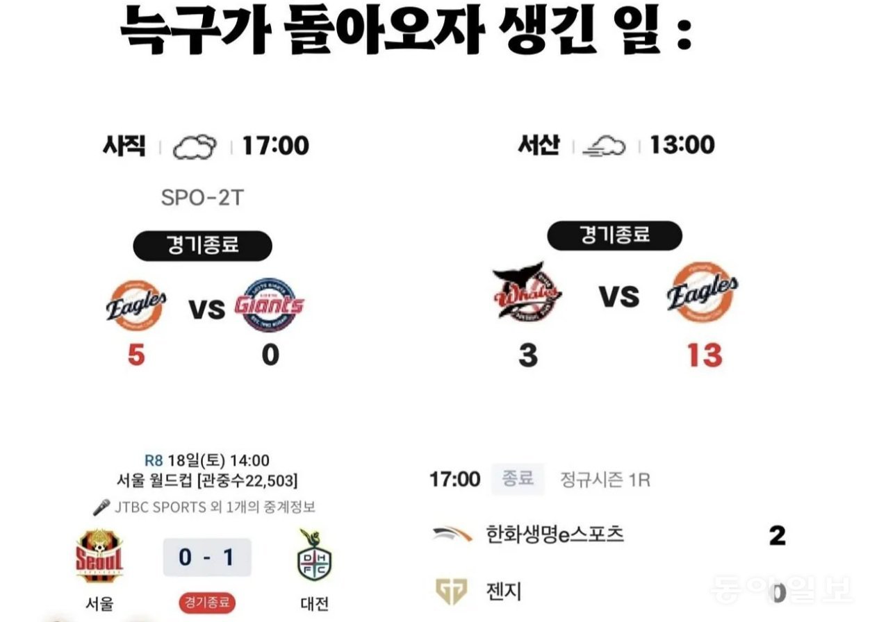 “늑구 돌아오니 한화가 이겨”…대전에 ‘늑구빵’도 등장