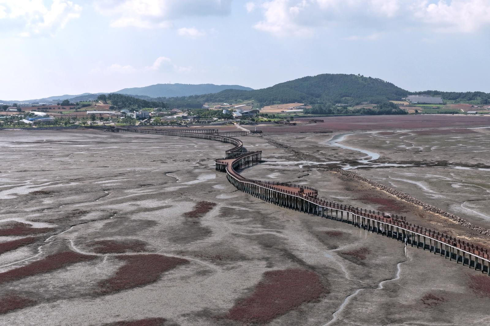 생태계 보고인 전남 무안군 해제면 갯벌. 바다 위 다리를 걸으며 갯벌의 생태를 가까이서 체험할 수 있도록 국내에서 가장 긴 목재 해상 보행교가 설치돼 있다. 무안군 제공