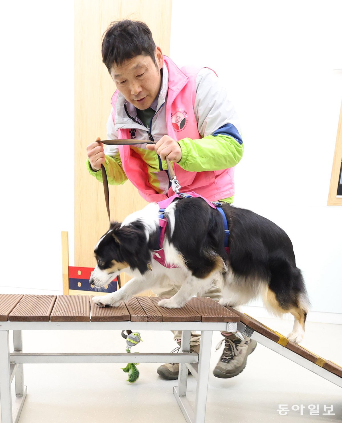 반려동물 증가에 ‘잘 키우기’ 교육 확대…서울 자치구 실습형 프로그램 운영