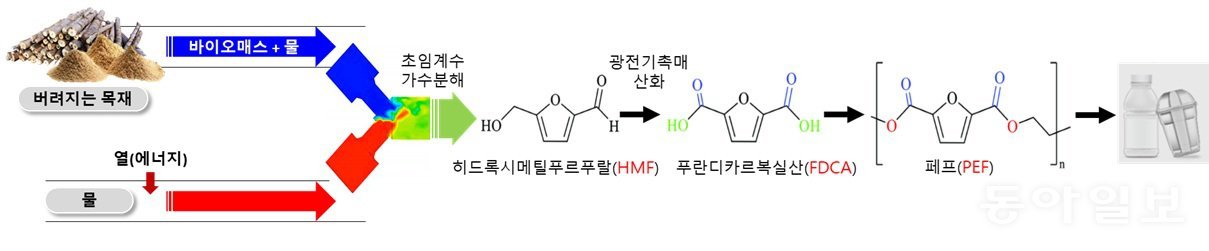 폐목재 활용해 친환경 바이오플라스틱 생산 기술 개발