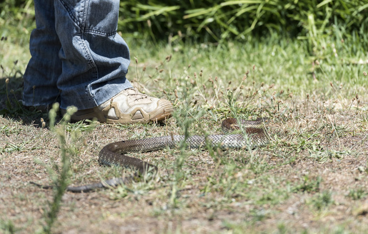 독사 물린 아들 갠지스강에 ‘12시간’ 방치…미신 믿다 사망