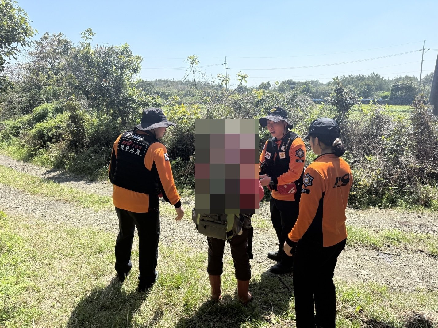 “주말 이틀에 14건”…고사리 캐다 길 잃고 뱀까지, 제주 ‘주의보’