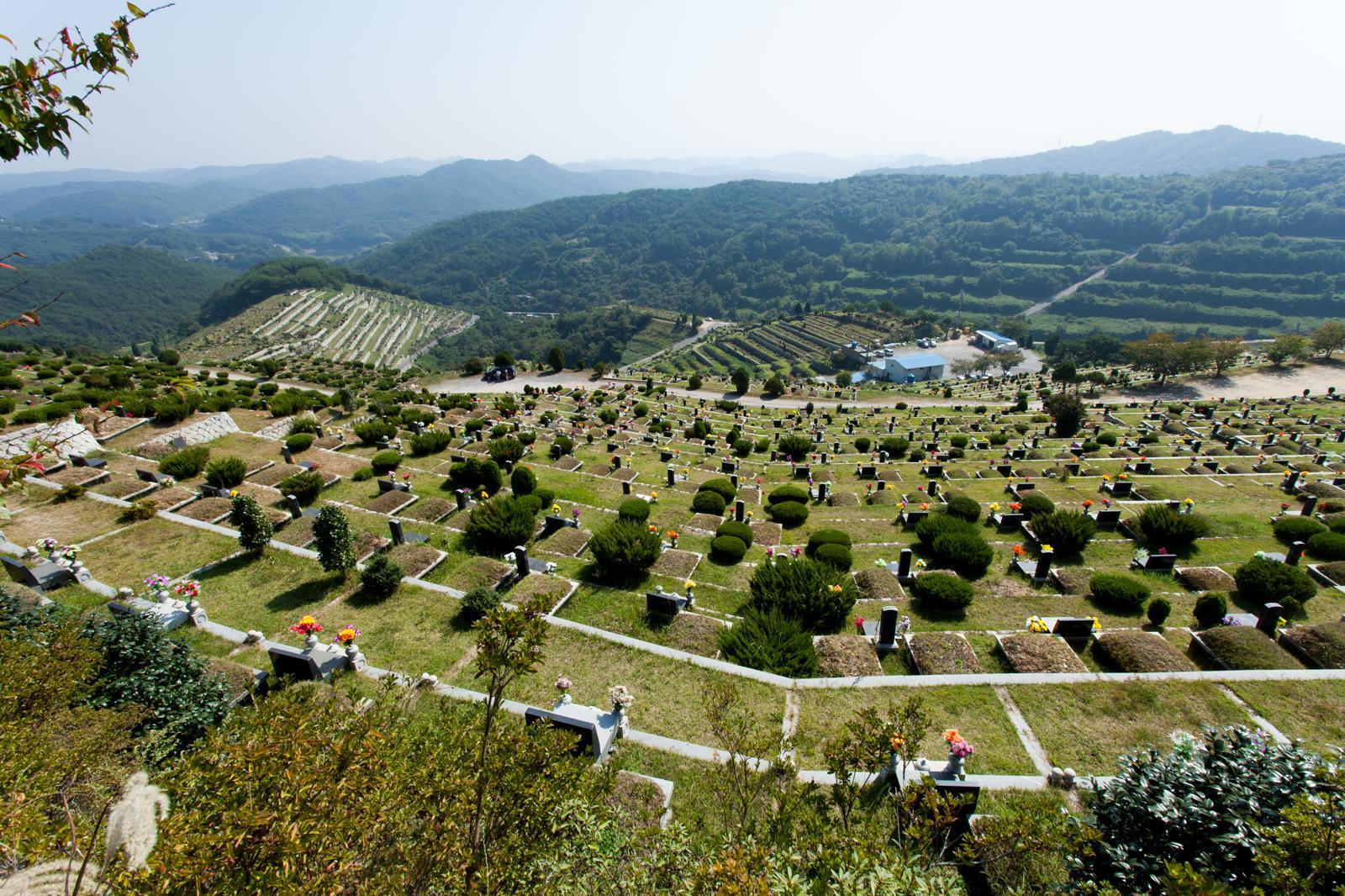 기사와 상관없는 이미지. 게티이미지뱅크